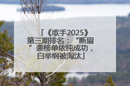 《歌手2025》第三期排名：“断眉”袭榜单依纯成功，白举纲被淘汰