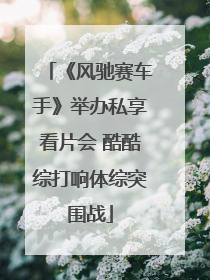 《风驰赛车手》举办私享看片会 酷酷综打响体综突围战