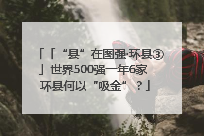 「“县”在图强·环县③」世界500强一年6家 环县何以“吸金”？