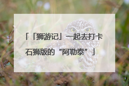 「狮游记」一起去打卡石狮版的“阿勒泰”