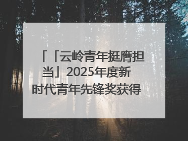 「云岭青年挺膺担当」2025年度新时代青年先锋奖获得者王敏奇——澜沧江上好渔人