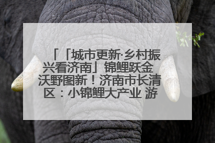 「城市更新·乡村振兴看济南」锦鲤跃金 沃野图新！济南市长清区：小锦鲤大产业 游出农旅新风景