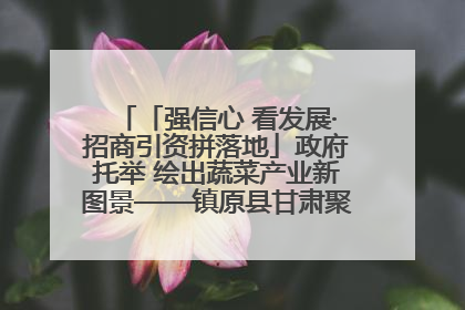 「强信心 看发展·招商引资拼落地」政府托举 绘出蔬菜产业新图景——镇原县甘肃聚广利现代设施蔬菜种植基地见闻