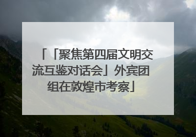 「聚焦第四届文明交流互鉴对话会」外宾团组在敦煌市考察