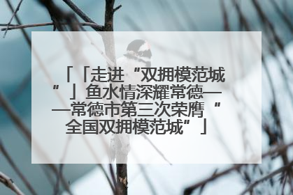 「走进“双拥模范城”」鱼水情深耀常德——常德市第三次荣膺“全国双拥模范城”