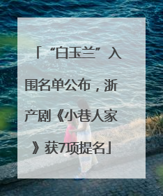 “白玉兰”入围名单公布，浙产剧《小巷人家》获7项提名
