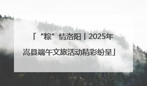 “粽”情洛阳丨2025年嵩县端午文旅活动精彩纷呈
