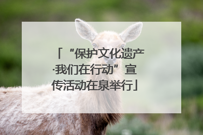 “保护文化遗产·我们在行动”宣传活动在泉举行