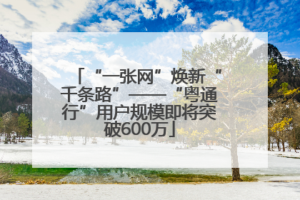 “一张网”焕新“千条路”——“粤通行”用户规模即将突破600万