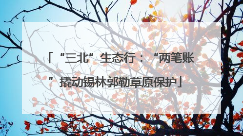 “三北”生态行：“两笔账”撬动锡林郭勒草原保护