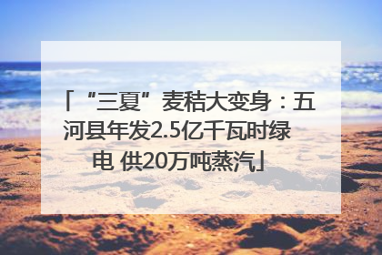 “三夏”麦秸大变身：五河县年发2.5亿千瓦时绿电 供20万吨蒸汽