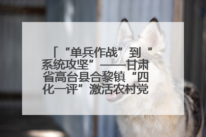 “单兵作战”到“系统攻坚”——甘肃省高台县合黎镇“四化一评”激活农村党员管理新引擎