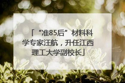 “准85后”材料科学专家汪航，升任江西理工大学副校长