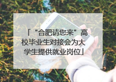 “合肥请您来”高校毕业生对接会为大学生提供就业岗位