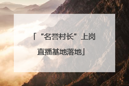 “名誉村长”上岗 直播基地落地