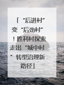 “后进村”变“后劲村”！胜利村探索走出“城中村”转型治理新路径