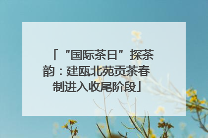 “国际茶日”探茶韵：建瓯北苑贡茶春制进入收尾阶段