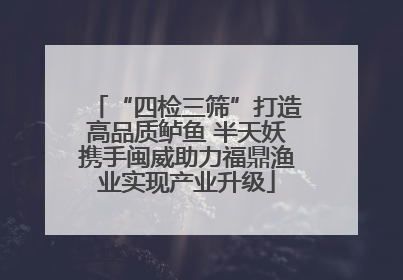 “四检三筛”打造高品质鲈鱼 半天妖携手闽威助力福鼎渔业实现产业升级