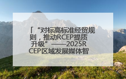 “对标高标准经贸规则，推动RCEP提质升级”——2025RCEP区域发展媒体智库论坛举行专题对话