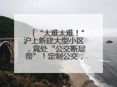 “太难太难！”沪上新建大型小区，竟处“公交断层带”！定制公交，又成“鸡肋”