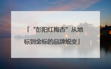 “彭阳红梅杏”从地标到金标的品牌蜕变