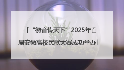 “徽音传天下”2025年首届安徽高校民歌大赛成功举办