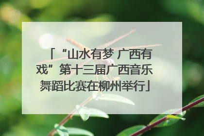 “山水有梦 广西有戏”第十三届广西音乐舞蹈比赛在柳州举行