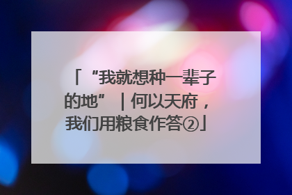 “我就想种一辈子的地”｜何以天府，我们用粮食作答②