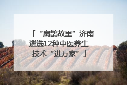 “扁鹊故里”济南遴选12种中医养生技术“进万家”