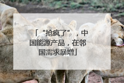 “抢疯了”，中国能源产品，在邻国需求暴增