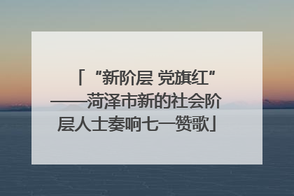 “新阶层 党旗红”——菏泽市新的社会阶层人士奏响七一赞歌