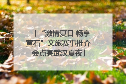 “激情夏日 畅享黄石”文旅赛事推介会点亮武汉夏夜