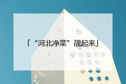 “河北净菜”靓起来