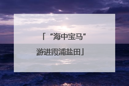 “海中宝马”游进霞浦盐田