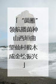 “菌雁”领航播菌种 山西垣曲望仙村椴木成金绘振兴