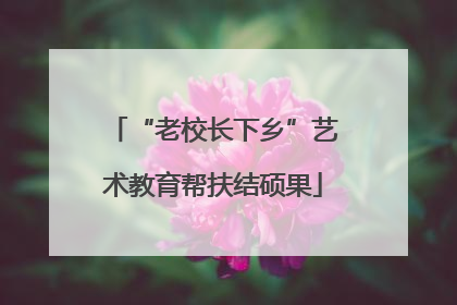 “老校长下乡”艺术教育帮扶结硕果
