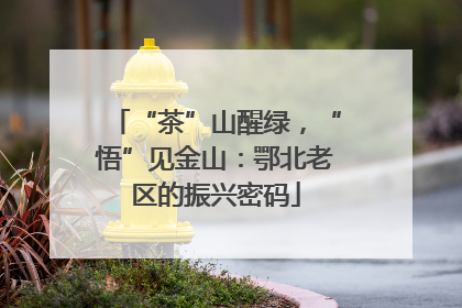 “茶”山醒绿，“悟”见金山：鄂北老区的振兴密码