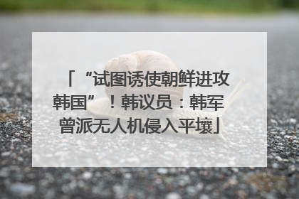 “试图诱使朝鲜进攻韩国”！韩议员：韩军曾派无人机侵入平壤