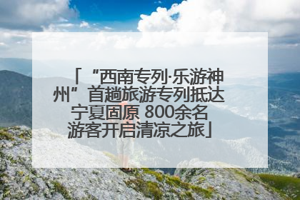 “西南专列·乐游神州”首趟旅游专列抵达宁夏固原 800余名游客开启清凉之旅
