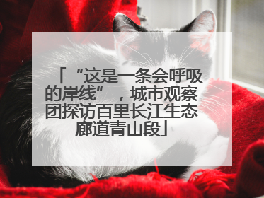 “这是一条会呼吸的岸线”，城市观察团探访百里长江生态廊道青山段