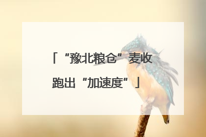 “豫北粮仓”麦收跑出“加速度”