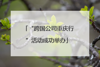 “跨国公司重庆行”活动成功举办