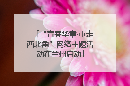 “青春华章·重走西北角”网络主题活动在兰州启动