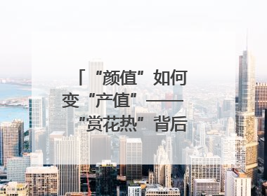 “颜值”如何变“产值”——“赏花热”背后的产业图谱