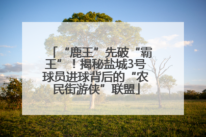 “鹿王”先破“霸王”！揭秘盐城3号球员进球背后的“农民街游侠”联盟