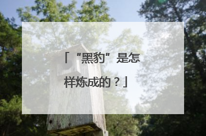 “黑豹”是怎样炼成的？