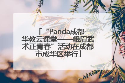 “Panda成都·华教云课堂——峨眉武术正青春”活动在成都市成华区举行