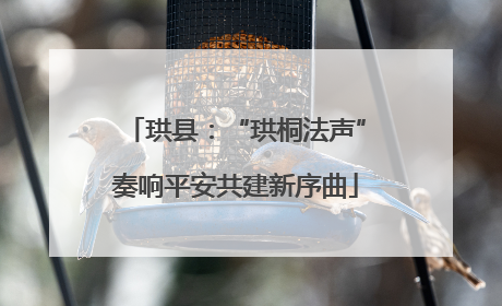 珙县：“珙桐法声”奏响平安共建新序曲