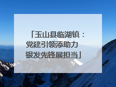 玉山县临湖镇：党建引领添助力 银发先锋展担当