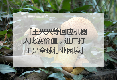 王兴兴等回应机器人比赛价值，进厂打工是全球行业困境